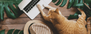 6 Great Freelancing Platforms For Beginners – Mentor Monkey