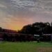 AMU First Year Survival Guide: Campus Places, Clubs and Tips Maulana Azad Library building at AMU